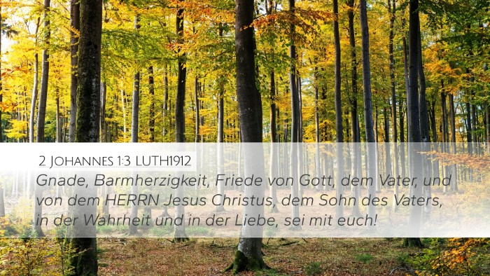 2 Johannes 1:3 LUTH1912 Bible Verse Image