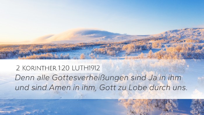 2 Korinther 1:20 LUTH1912 Bible Verse Image