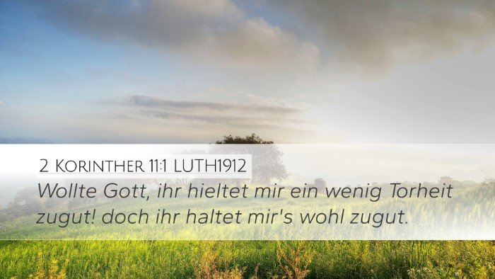 2 Korinther 11:1 LUTH1912 Bible Verse Image