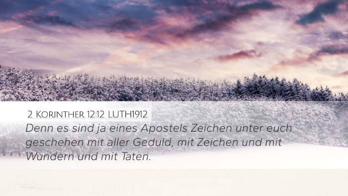 2 Korinther 12:12 LUTH1912 Bible Verse Image