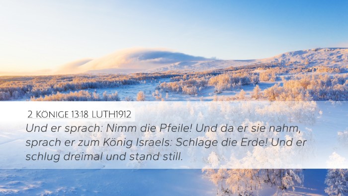 2 Könige 13:18 LUTH1912 Bible Verse Image