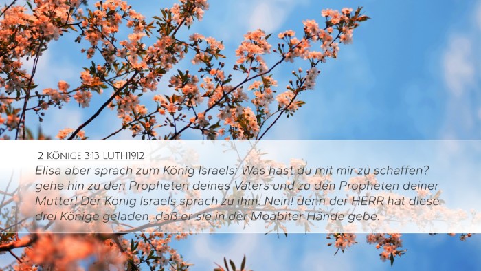 2 Könige 3:13 LUTH1912 Bible Verse Image
