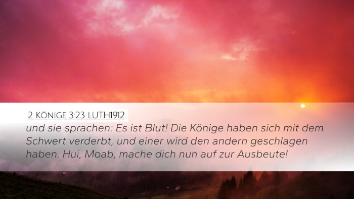 2 Könige 3:23 LUTH1912 Desktop Wallpaper - und sie sprachen: Es ist Blut! Die Könige haben - Desktop Bible Verse Wallpaper