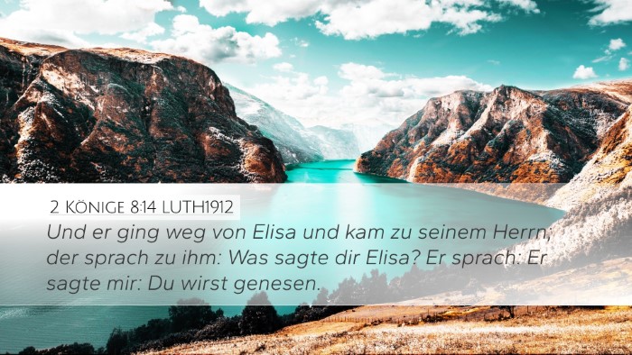 2 Könige 8:14 LUTH1912 Bible Verse Image