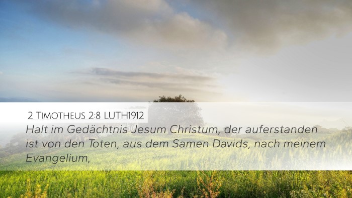 2 Timotheus 2:8 LUTH1912 Bible Verse Image