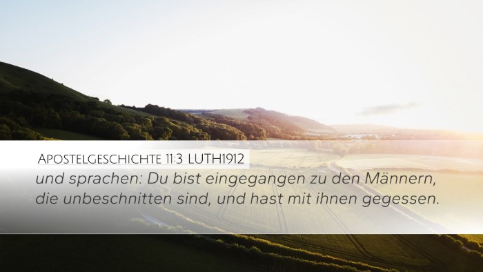 Apostelgeschichte 11:3 LUTH1912 Bible Verse Image