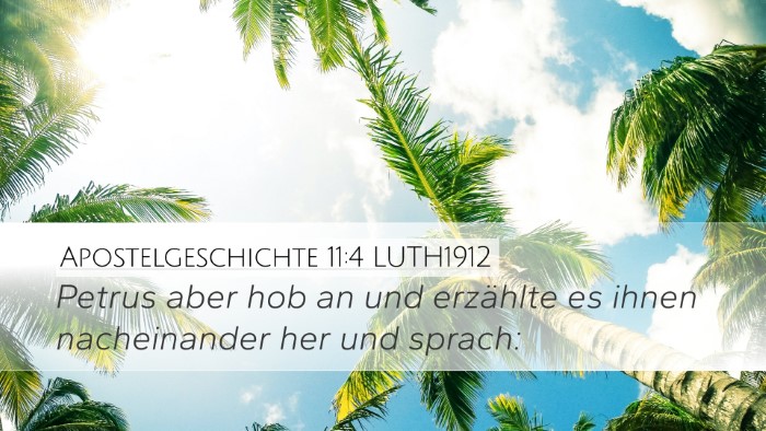 Apostelgeschichte 11:4 LUTH1912 Bible Verse Image