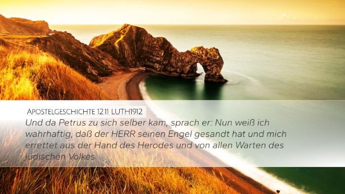 Apostelgeschichte 12:11 LUTH1912 Bible Verse Image