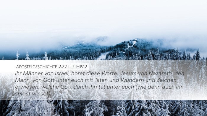 Apostelgeschichte 2:22 LUTH1912 Bible Verse Image