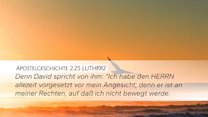 Apostelgeschichte 2:25 LUTH1912 Bible Verse Image