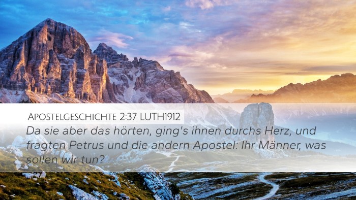Apostelgeschichte 2:37 LUTH1912 Bible Verse Image
