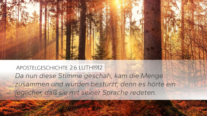 Apostelgeschichte 2:6 LUTH1912 Bible Verse Image