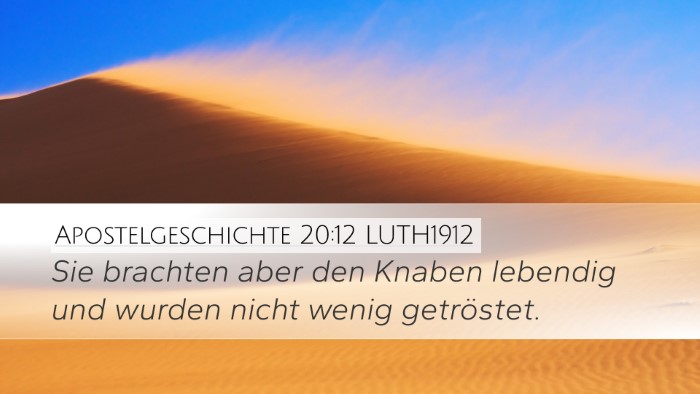 Apostelgeschichte 20:12 LUTH1912 Desktop Wallpaper - Sie brachten aber den Knaben lebendig und wurden - Desktop Bible Verse Wallpaper