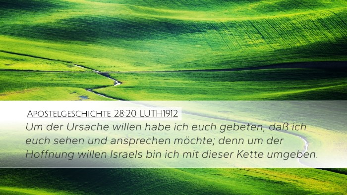 Apostelgeschichte 28:20 LUTH1912 Bible Verse Image
