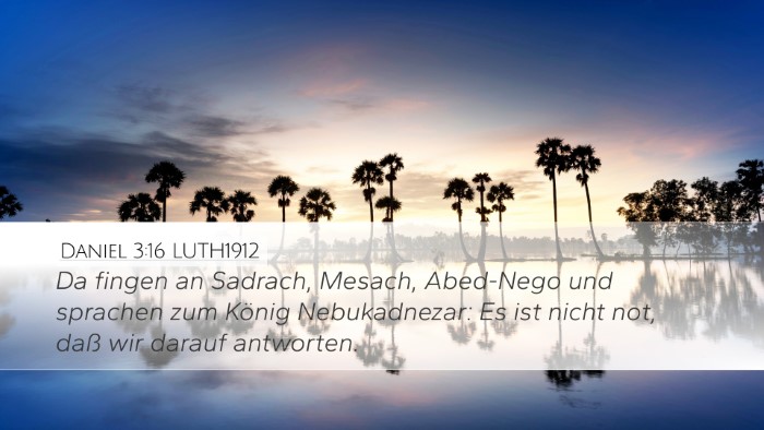 Daniel 3:16 LUTH1912 Desktop Wallpaper - Da fingen an Sadrach, Mesach, Abed-Nego und - Desktop Bible Verse Wallpaper
