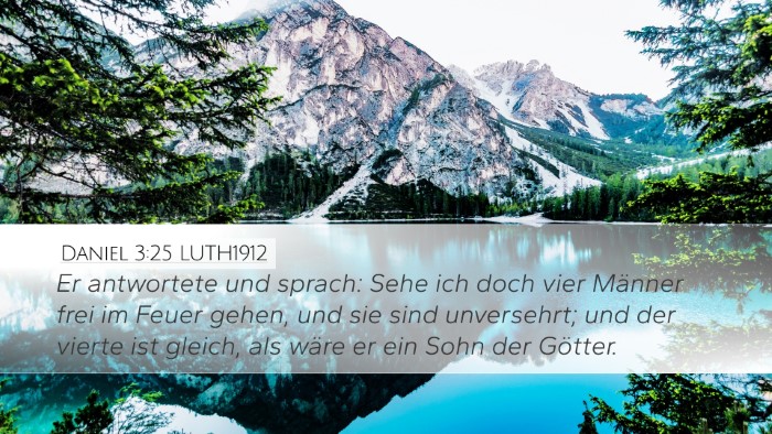Daniel 3:25 LUTH1912 Bible Verse Image