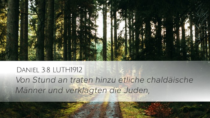 Daniel 3:8 LUTH1912 Bible Verse Image