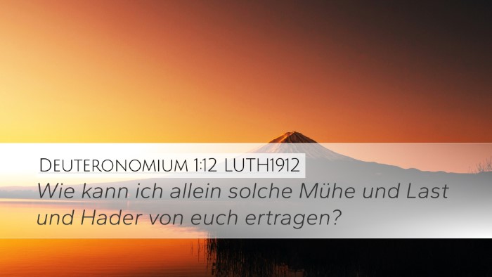 Deuteronomium 1:12 LUTH1912 Desktop Wallpaper - Wie kann ich allein solche Mühe und Last und - Desktop Bible Verse Wallpaper