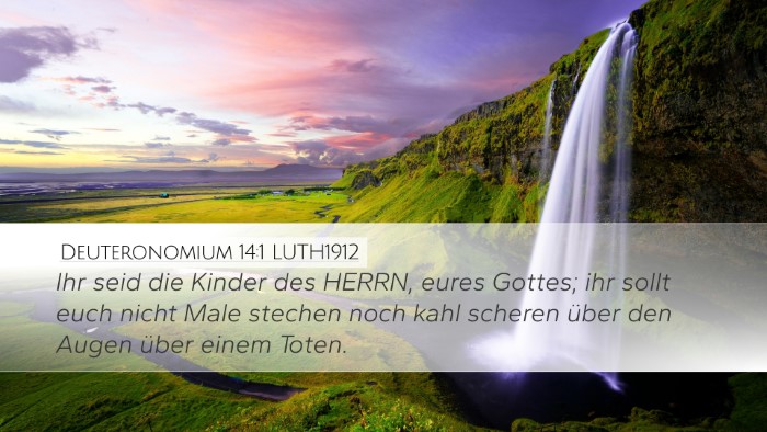 Deuteronomium 14:1 LUTH1912 Bible Verse Image