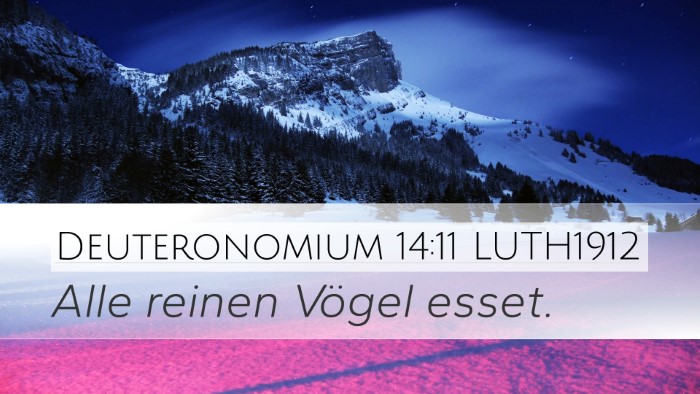 Deuteronomium 14:11 LUTH1912 Desktop Wallpaper - Alle reinen Vögel - Desktop Bible Verse Wallpaper