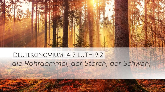 Deuteronomium 14:17 LUTH1912 Desktop Wallpaper - die Rohrdommel, der Storch, der - Desktop Bible Verse Wallpaper