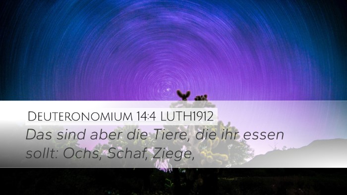 Deuteronomium 14:4 LUTH1912 Desktop Wallpaper - Das sind aber die Tiere, die ihr essen sollt: - Desktop Bible Verse Wallpaper