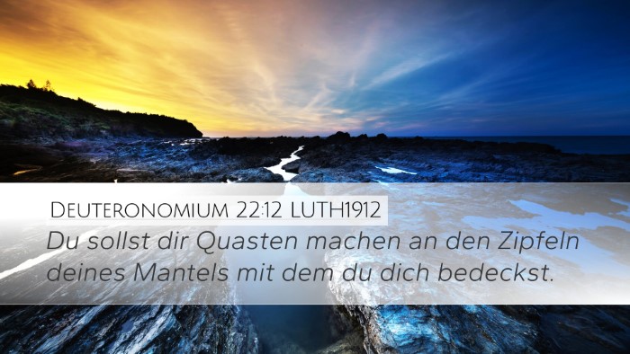 Deuteronomium 22:12 LUTH1912 Bible Verse Image