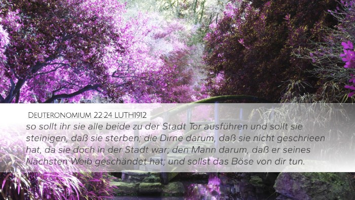Deuteronomium 22:24 LUTH1912 Bible Verse Image