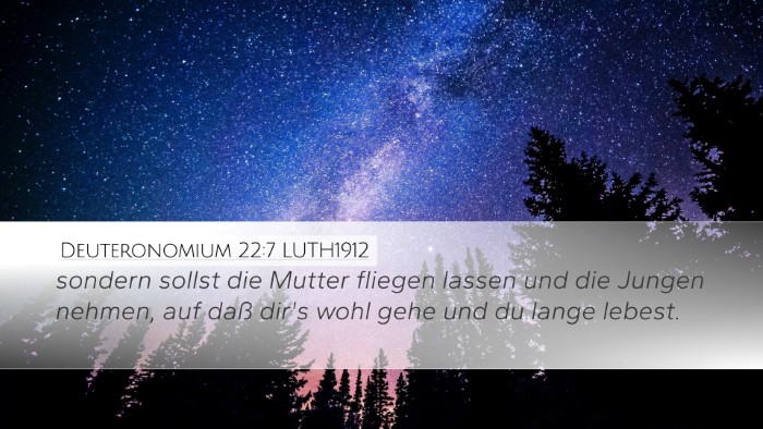 Deuteronomium 22:7 LUTH1912 Desktop Wallpaper - sondern sollst die Mutter fliegen lassen und die - Desktop Bible Verse Wallpaper