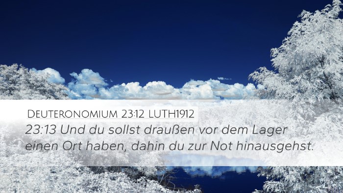Deuteronomium 23:12 LUTH1912 Desktop Wallpaper - 23:13 Und du sollst draußen vor dem Lager einen - Desktop Bible Verse Wallpaper