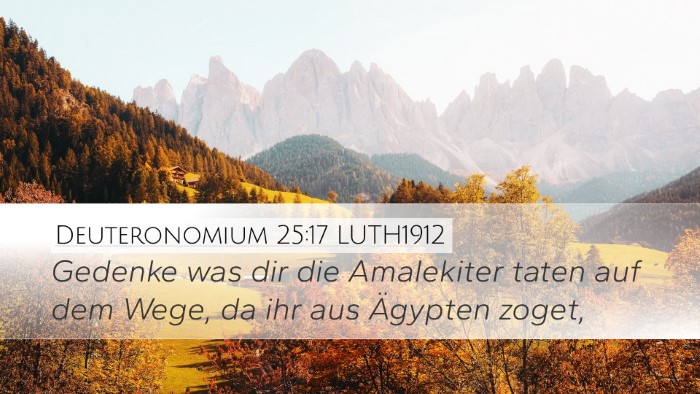 Deuteronomium 25:17 LUTH1912 Desktop Wallpaper - Gedenke was dir die Amalekiter taten auf dem - Desktop Bible Verse Wallpaper