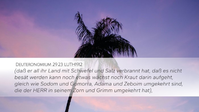 Deuteronomium 29:23 LUTH1912 Bible Verse Image