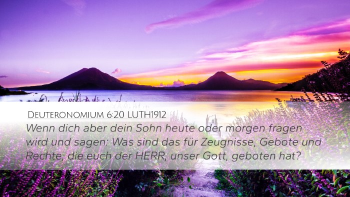Deuteronomium 6:20 LUTH1912 Bible Verse Image