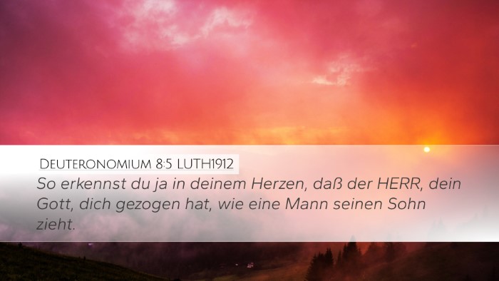 Deuteronomium 8:5 LUTH1912 Bible Verse Image