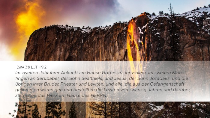 Esra 3:8 LUTH1912 Bible Verse Image