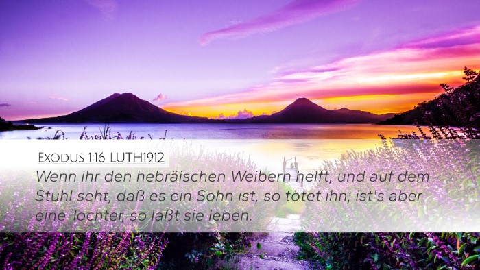 Exodus 1:16 LUTH1912 Bible Verse Image