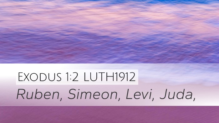 Exodus 1:2 LUTH1912 Bible Verse Image
