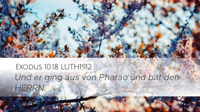 Exodus 10:18 LUTH1912 Bible Verse Image