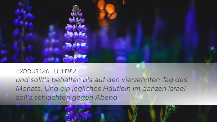 Exodus 12:6 LUTH1912 Bible Verse Image