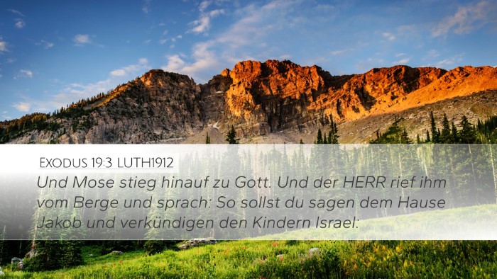 Exodus 19:3 LUTH1912 Bible Verse Image