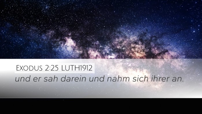 Exodus 2:25 LUTH1912 Bible Verse Image