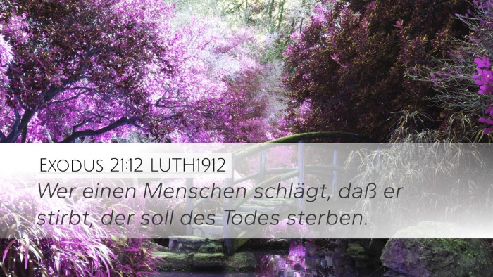 Exodus 21:12 LUTH1912 Bible Verse Image