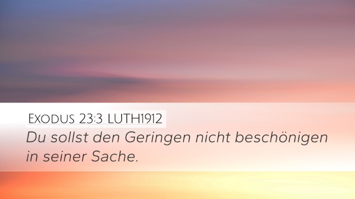 Exodus 23:3 LUTH1912 Bible Verse Image