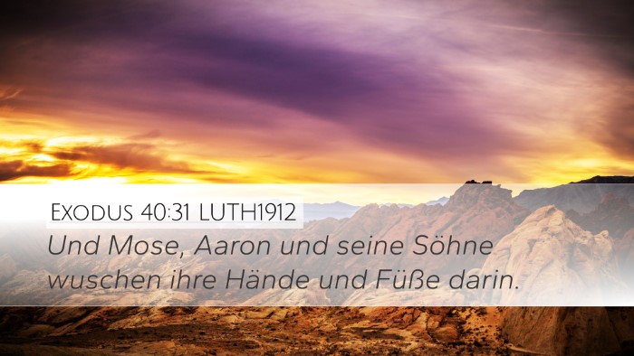 Exodus 40:31 LUTH1912 Bible Verse Image