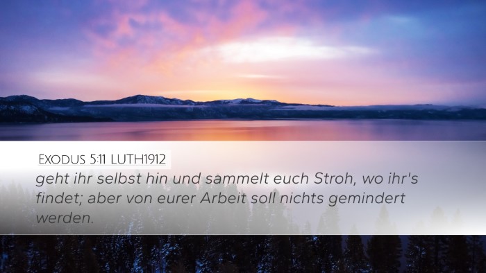 Exodus 5:11 LUTH1912 Desktop Wallpaper - geht ihr selbst hin und sammelt euch Stroh, wo - Desktop Bible Verse Wallpaper