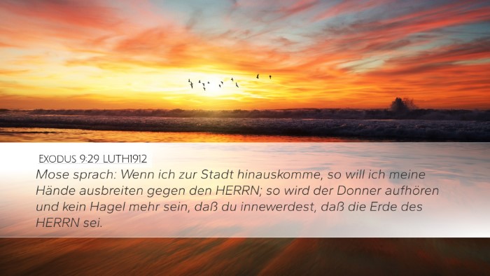 Exodus 9:29 LUTH1912 Bible Verse Image