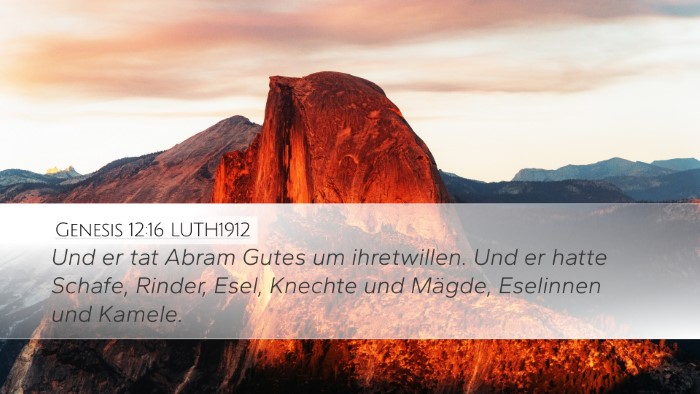 Genesis 12:16 LUTH1912 Bible Verse Image