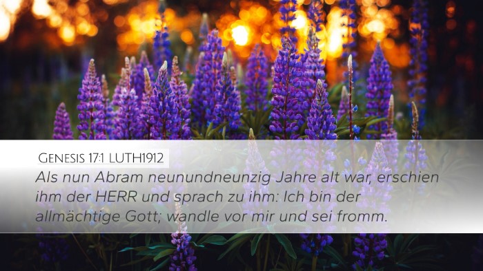 Genesis 17:1 LUTH1912 Bible Verse Image