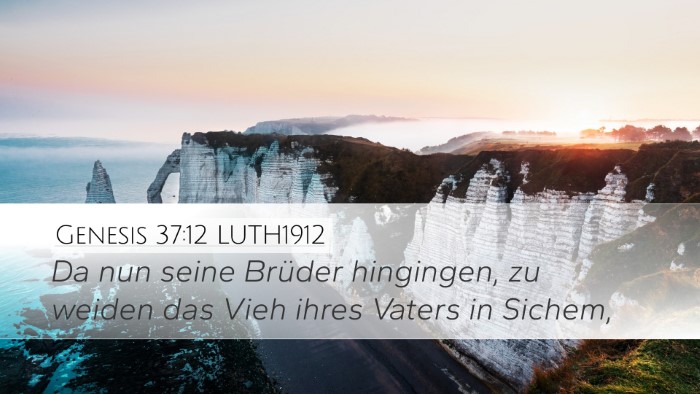 Genesis 37:12 LUTH1912 Bible Verse Image