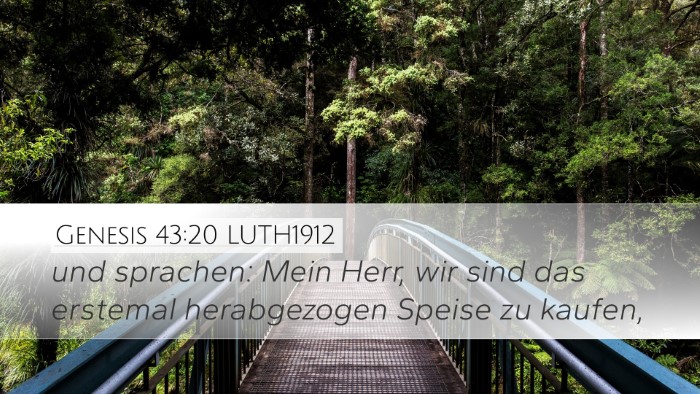 Genesis 43:20 LUTH1912 Bible Verse Image